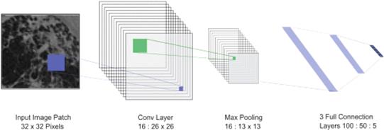 fig1