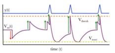 fig5