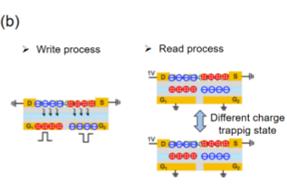 fig10
