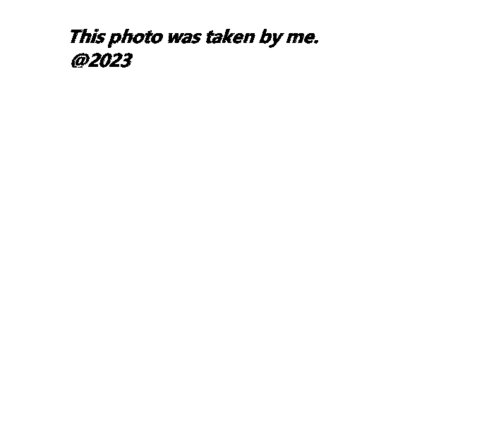 /word/media/image10.emf