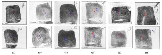 fig2