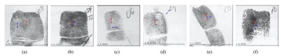 fig3