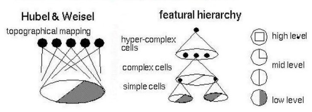 /word/media/image1.jpeg