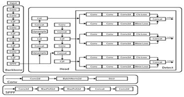 fig1