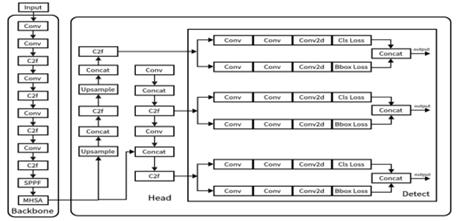 fig3
