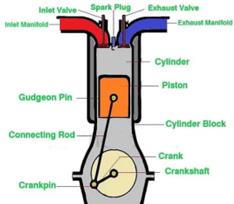fig2