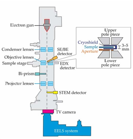 /word/media/image4.emf