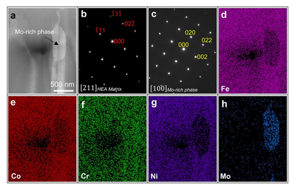 /word/media/image5.emf