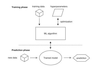 fig1