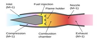 fig5