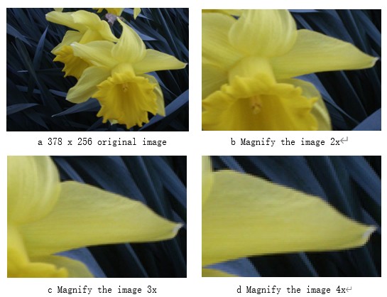 /word/media/image1.jpeg