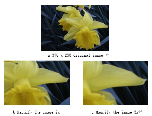 /word/media/image2.jpeg
