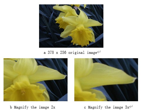 /word/media/image3.jpeg
