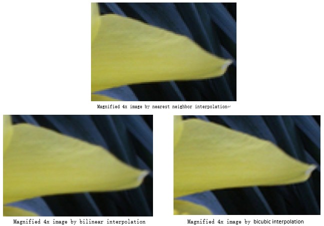/word/media/image4.jpeg