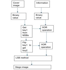 fig10