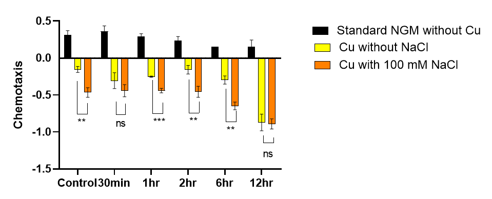 /word/media/image11.emf