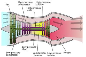 fig1