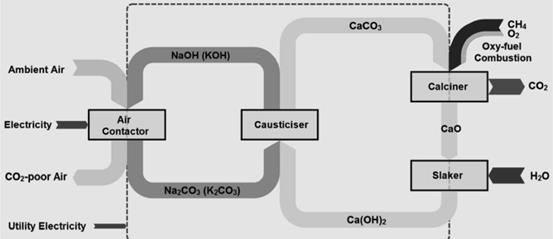 fig1