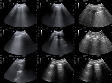 fig2