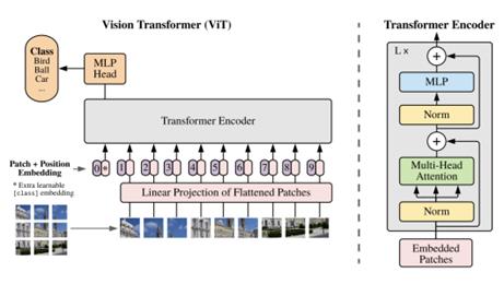 fig11