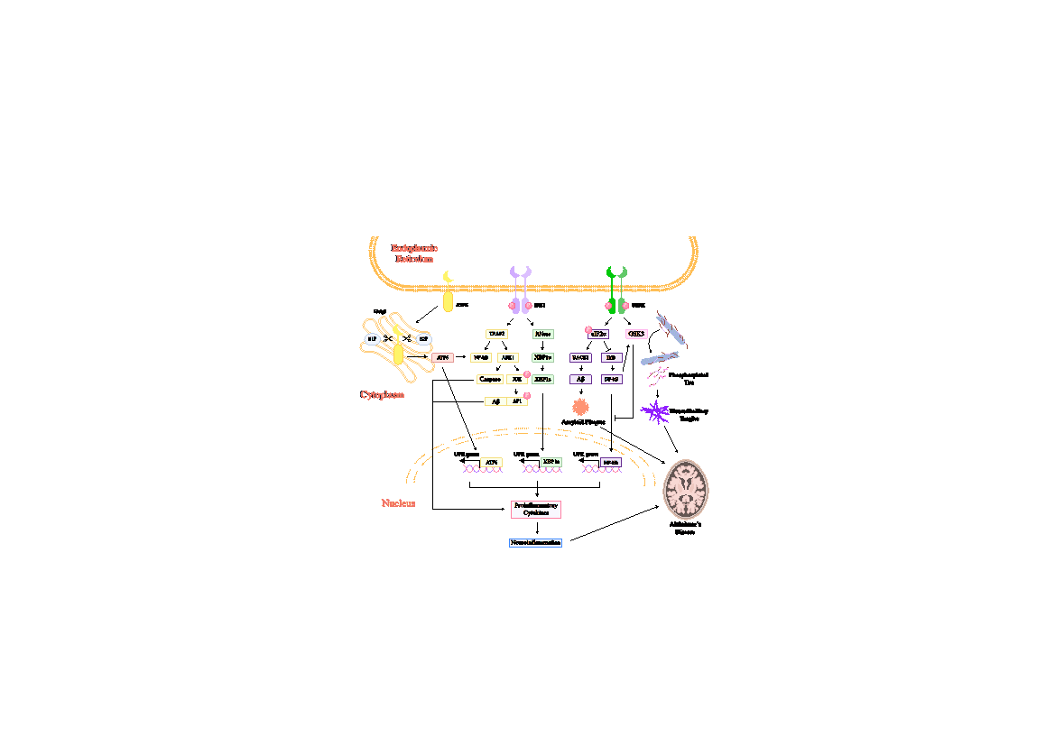 /word/media/image2.emf