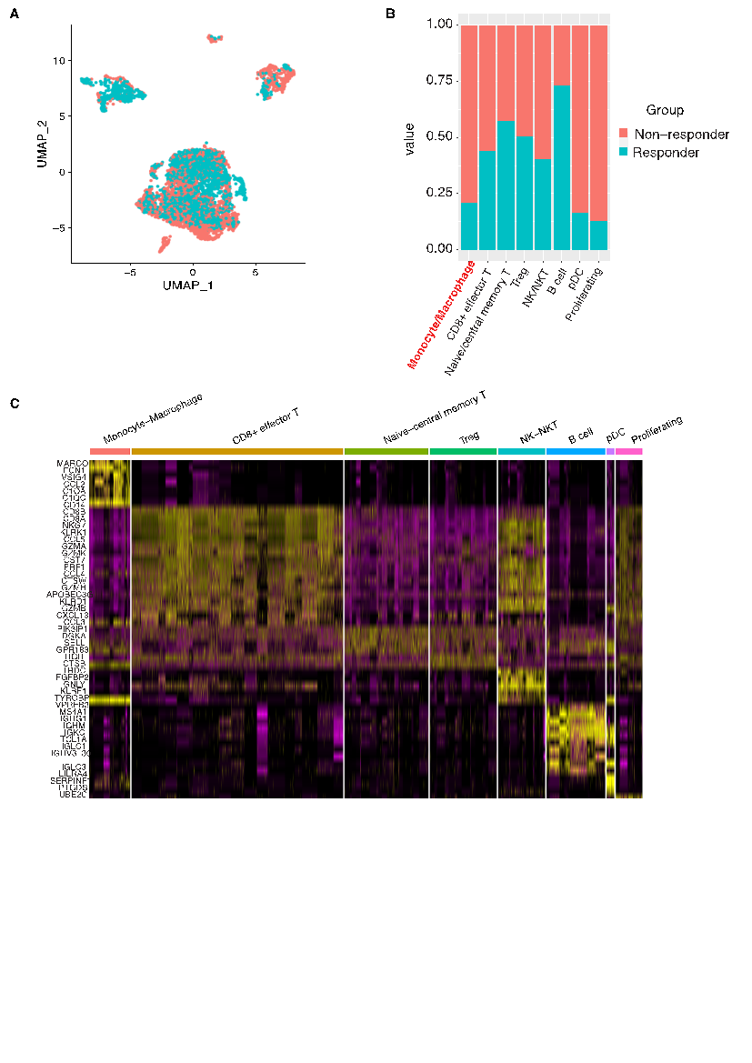 /word/media/image2.emf