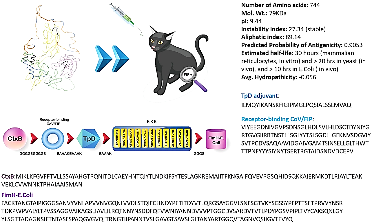 /word/media/image1.png