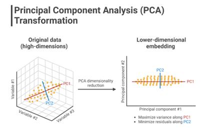 fig1