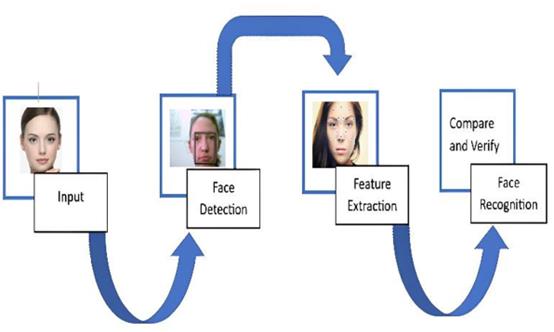 fig1