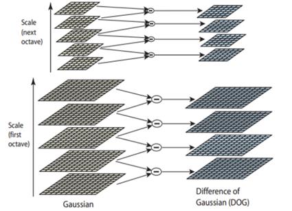 fig2