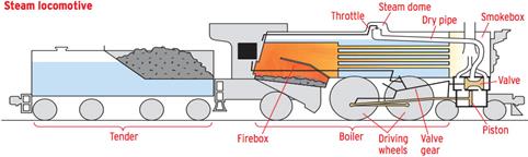 fig1