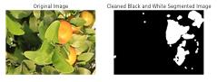 fig21
