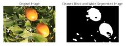 fig22