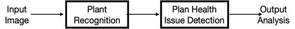 fig5