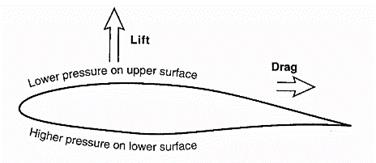 fig2