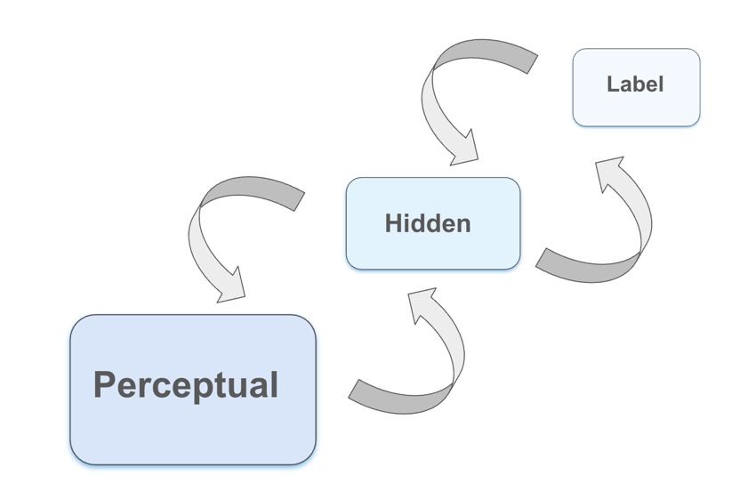 Figure 1. A schematic of a neural network architecture for exploring on-line effects of labels on perceptual representations. Adapted from [36].