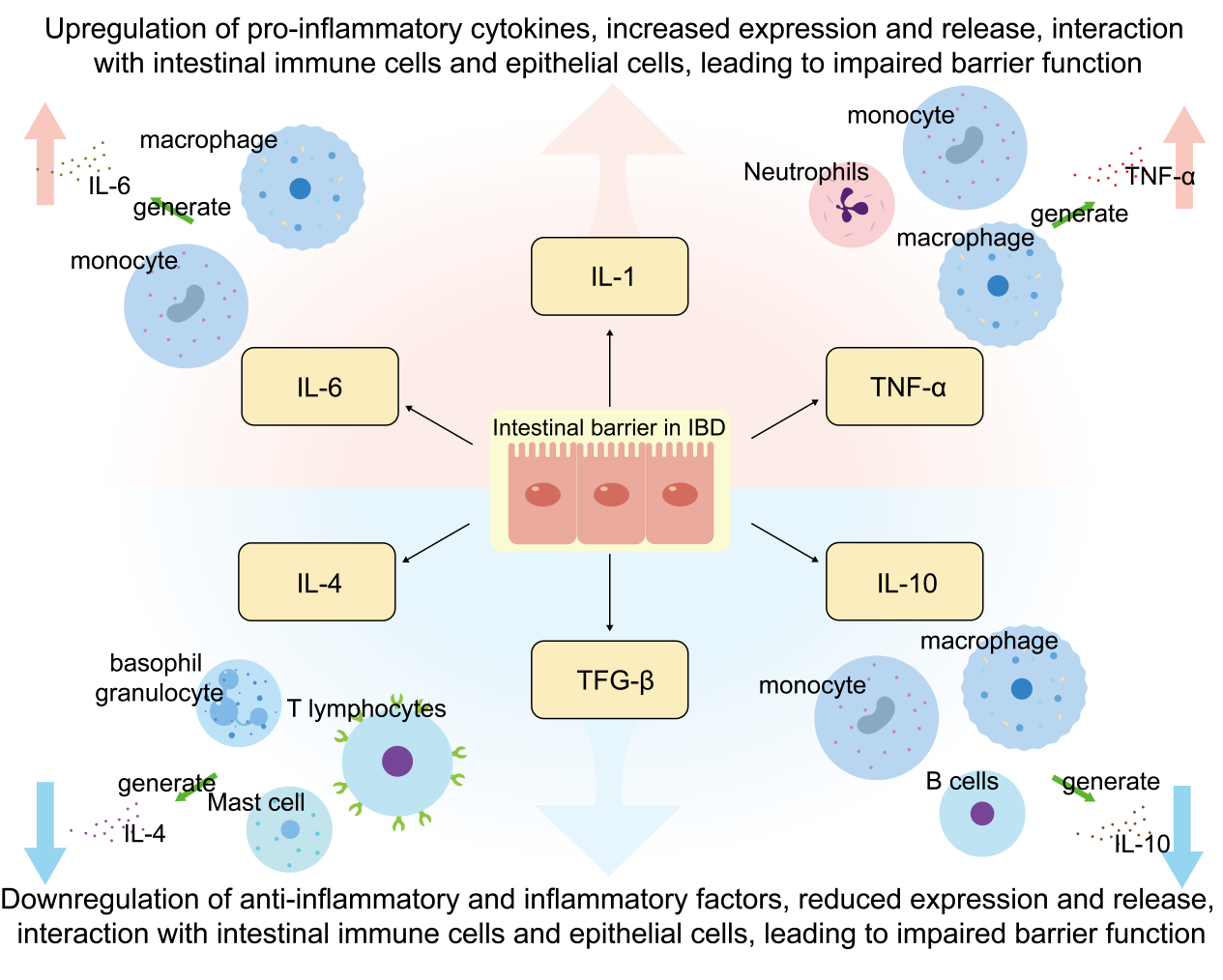Figure 1. Modulating the expression of specific inflammatory factors can effectively reduce intestinal inflammation