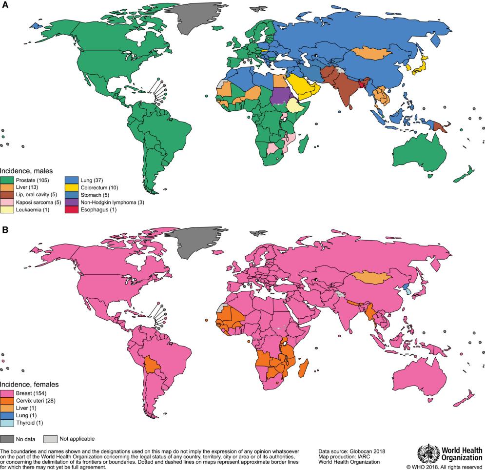 Figure 1. Global map presenting the most common type of cancer incidence in 2018 in each country among (A) men and (B) women