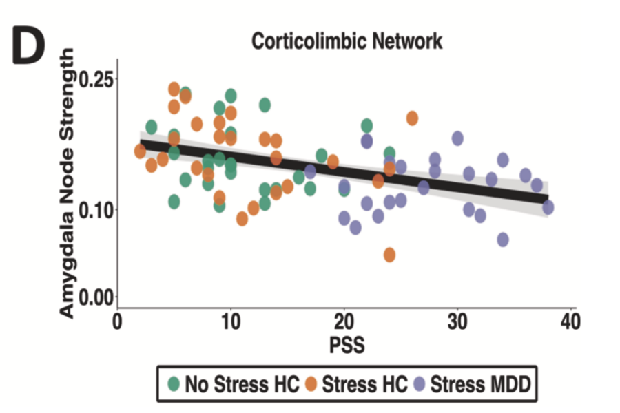 Figure 1. Corticolimbic Network [10]