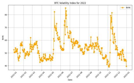 Figure 1. BTC Volatility Index for 2022