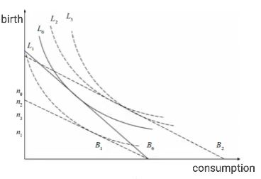 Figure 1. Impact of the Budget Constraint Line on Fertility Intentions[ REF _Ref6352 \r \h 11]