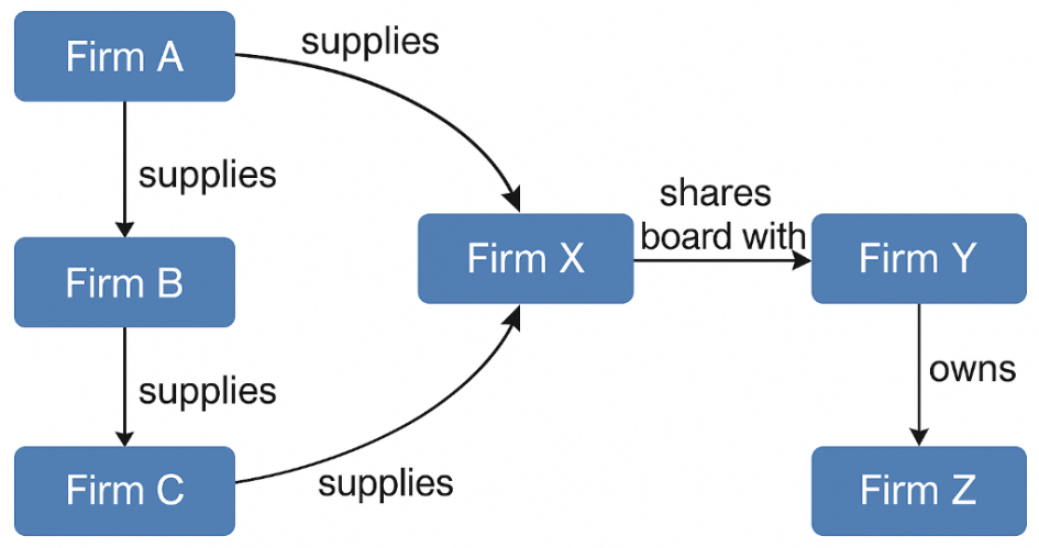 Figure 1. Example of a Heterogeneous Firm Network with Multi-Type Economic Relations