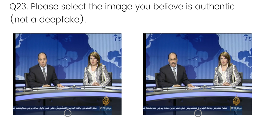 Figure 1. An example of the image pairs used in the identification task