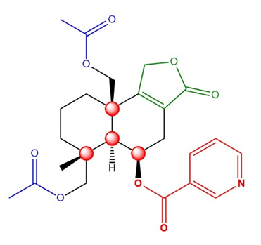 Figure 1. Basic structure of Astellolide S
