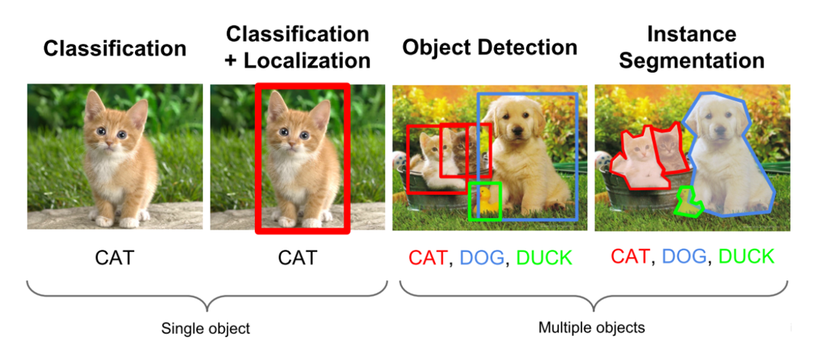 Figure 1. Image recognition task
