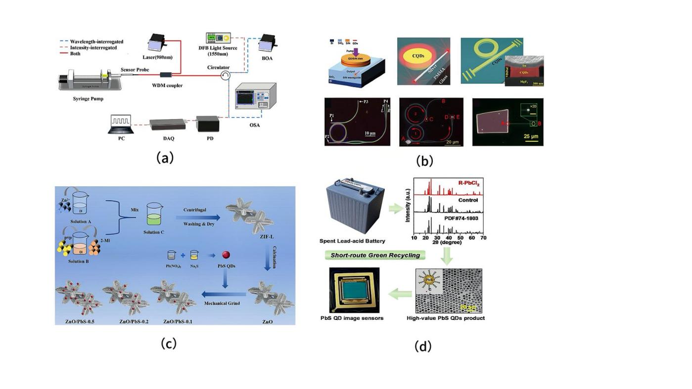 Figure 1. Applications of PbS Quantum Dots in Sensors. (a) Biosensor; (b) Photoelectric Sensor; (c) Gas Sensor; (d) Image Sensor [4,6,8,10].