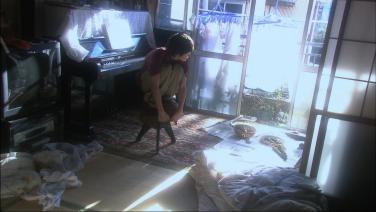 Figure 1. The overexposed sunlight