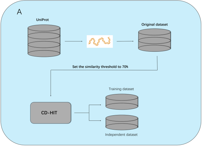 Figure 1. Dataset construction process