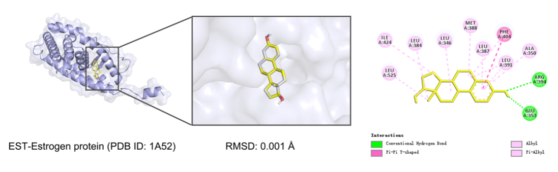 Figure 1. Analysis of molecular docking interactions of proteins with eutectic ligands