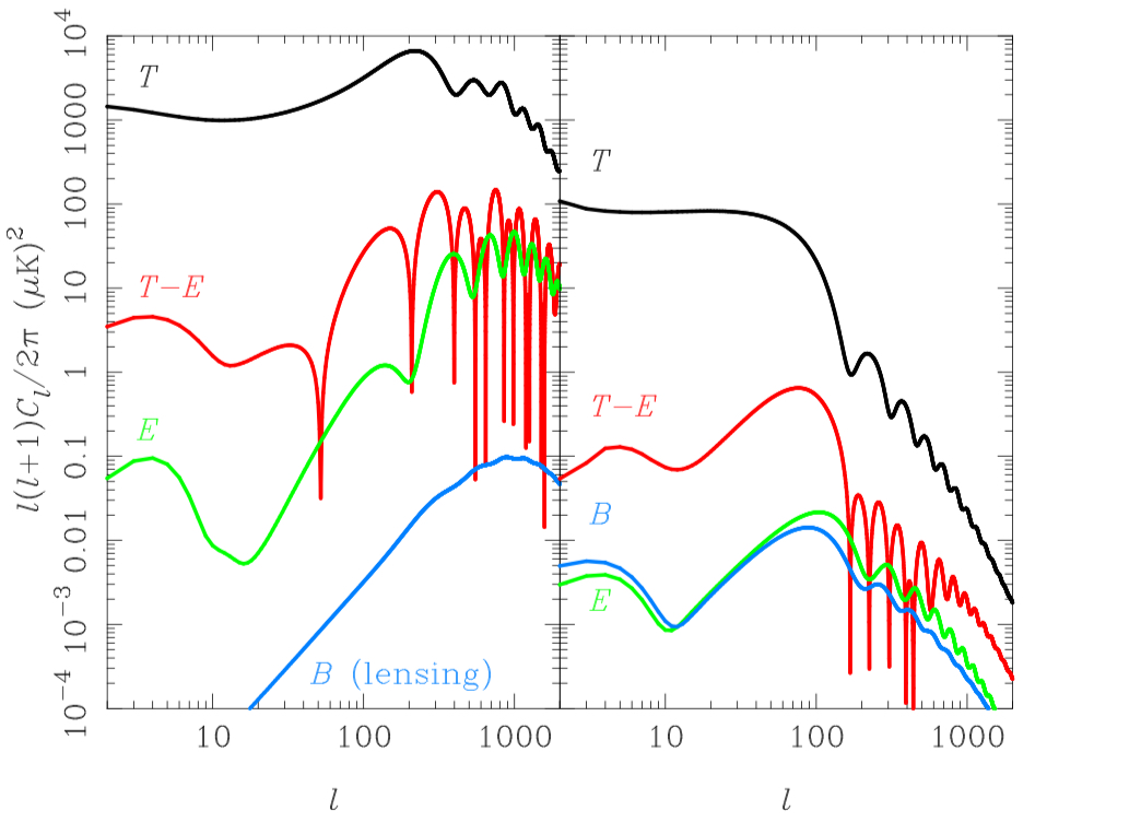 Figure1. CMB power spectra of temperature (black), E-mode (green), B-mode (blue), and TE     cross-correlation (red) for a tensor-to-scalar ratio r = 0.24 from gravitational waves (right) and curvature perturbations (left).  Additionally, the left-hand panel displays the B-mode spectrum caused by weak gravitational lensing (blue) [6].